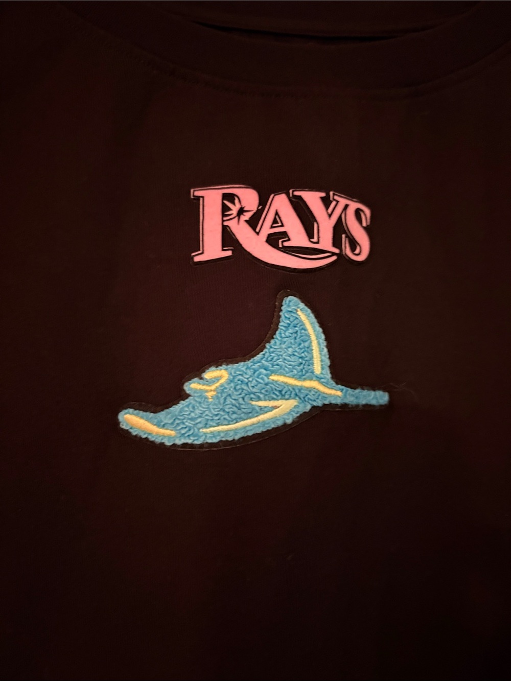Tampa Bay Rays Cropped T - Picture 2 of 7